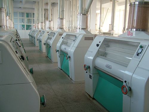 flour production line