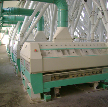 Wheat flour milling line