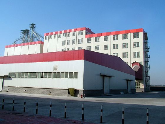 wheat flour mill plant