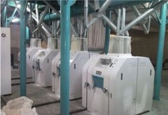 Problems of Grain Mill Project