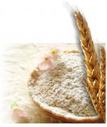 Wheat Flour Mill Producers